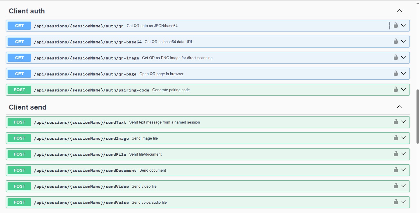 WhatsApp API Provider